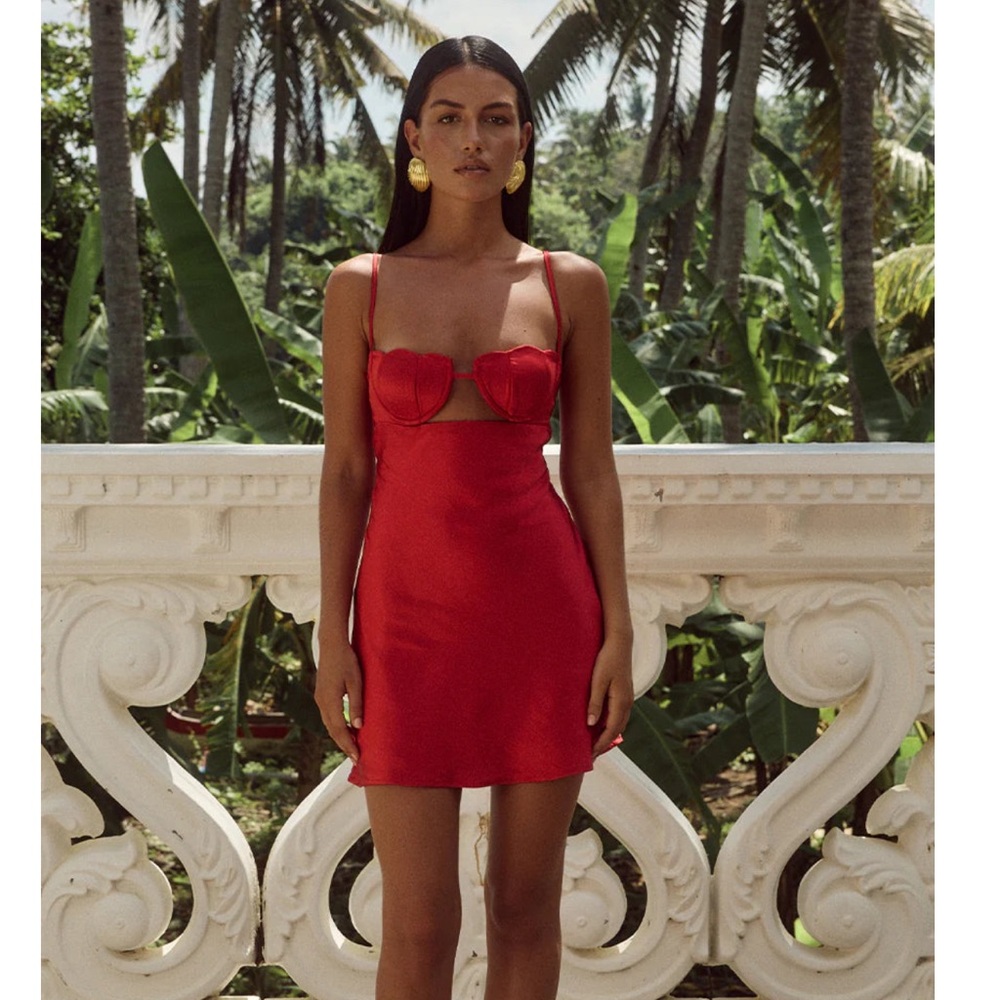 NWT runaway the label XS Cherish Mini Dress